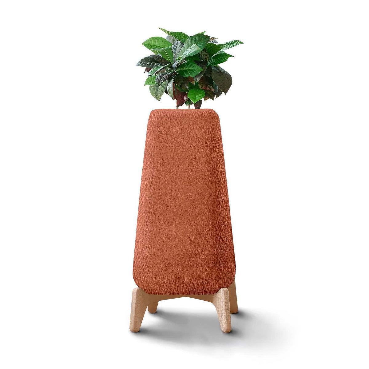 Indigenus Terra by Laurie Wiid van Heerden. A potted plant sits in a terracotta planter with wooden legs.