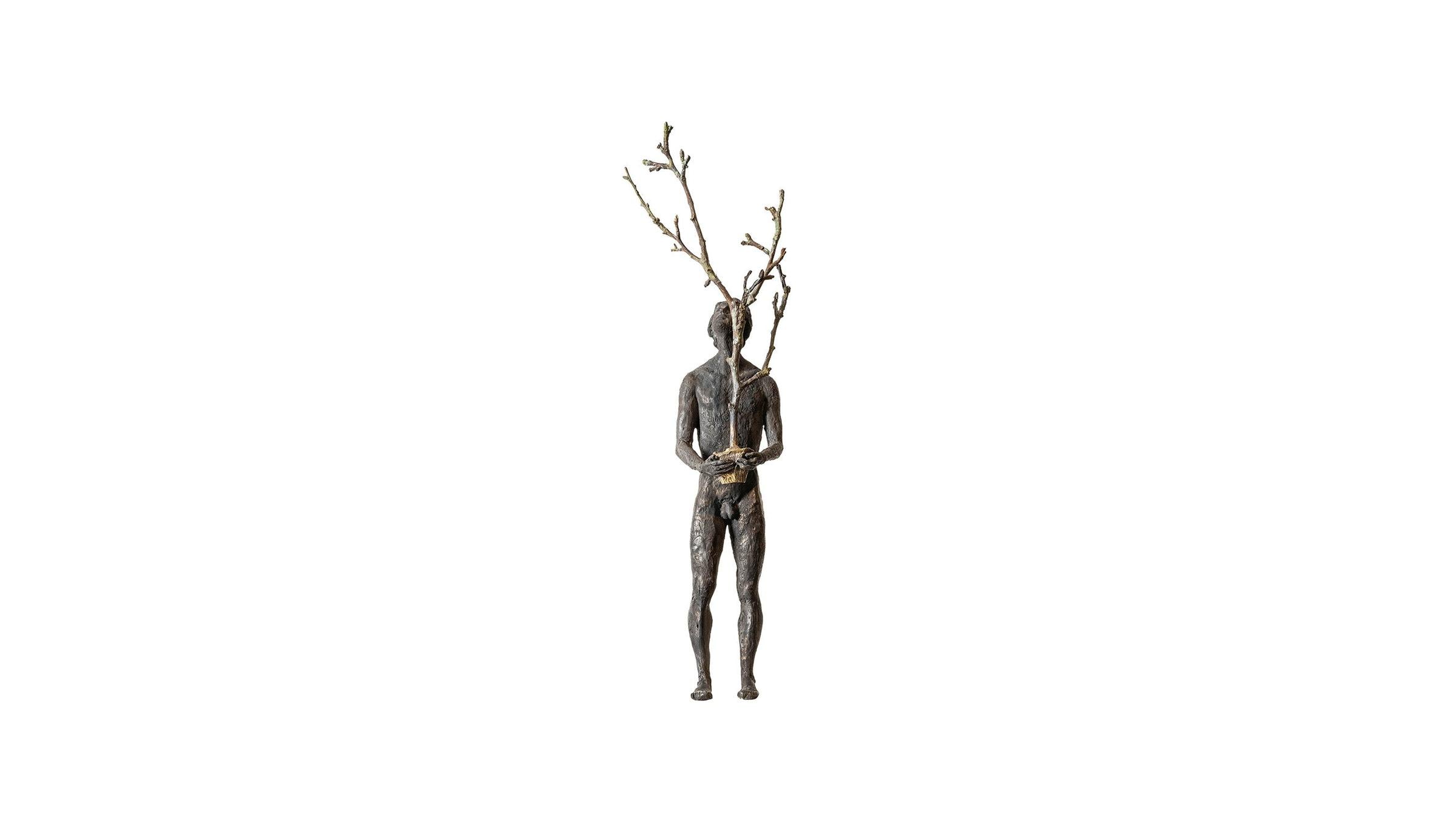 Gardeco Sculpture Thoughts III - The Tree