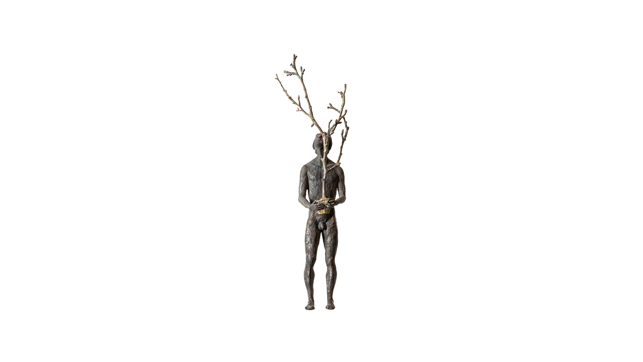Desktop / Thoughts III – The Tree, designed by Raffaella Benetti for Gardeco