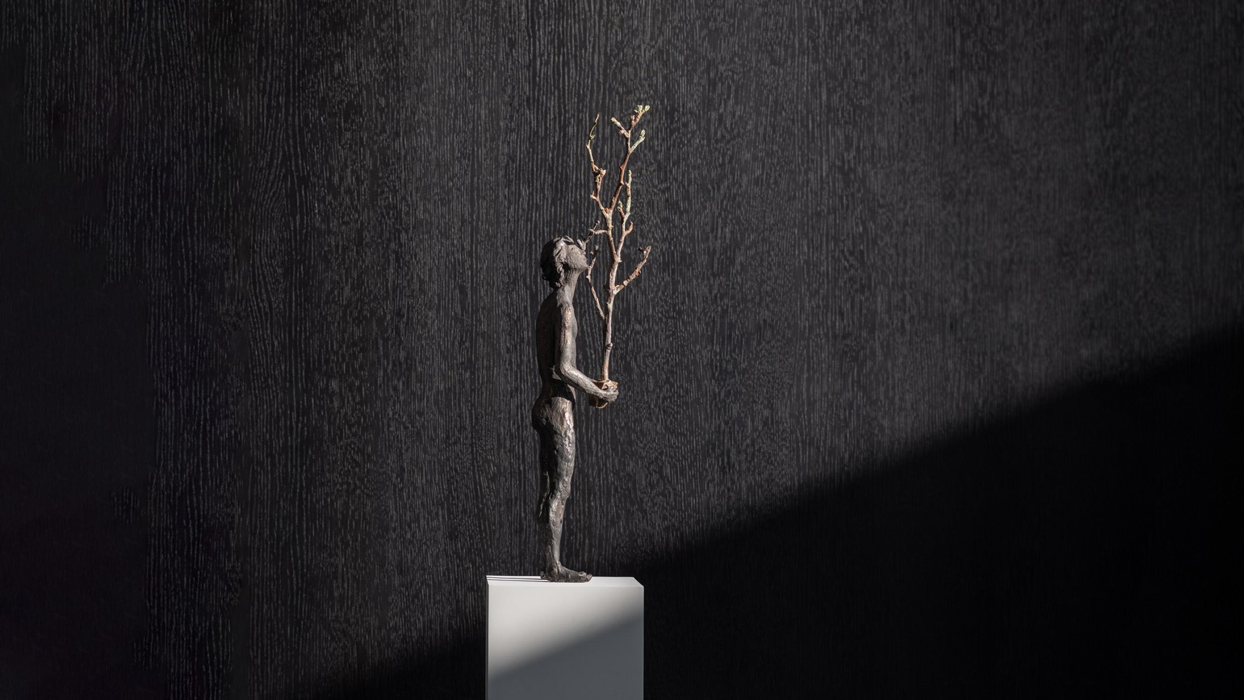 Desktop / Thoughts III – The Tree, designed by Raffaella Benetti for Gardeco