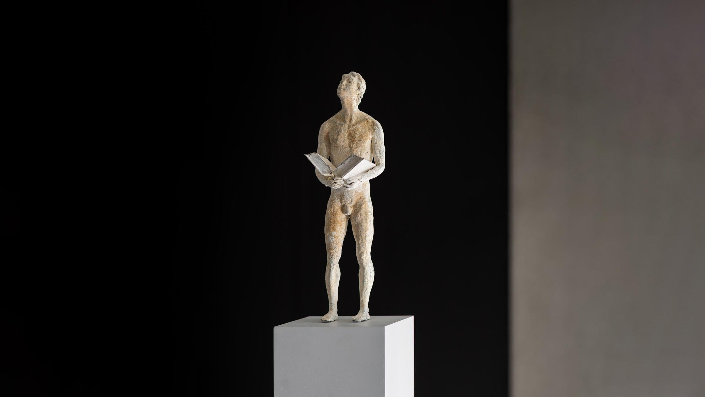 Gardeco Sculpture Thoughts VI - The Book