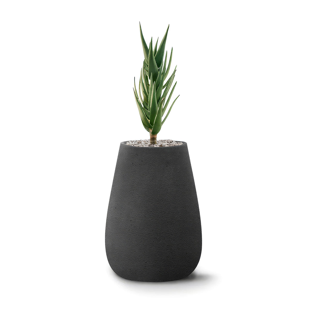 Indigenus Tuber by Haldane Martin. A spiky green succulent plant sits in a dark gray textured pot.