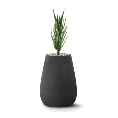 Indigenus Tuber by Haldane Martin. A spiky green succulent plant sits in a dark gray textured pot.