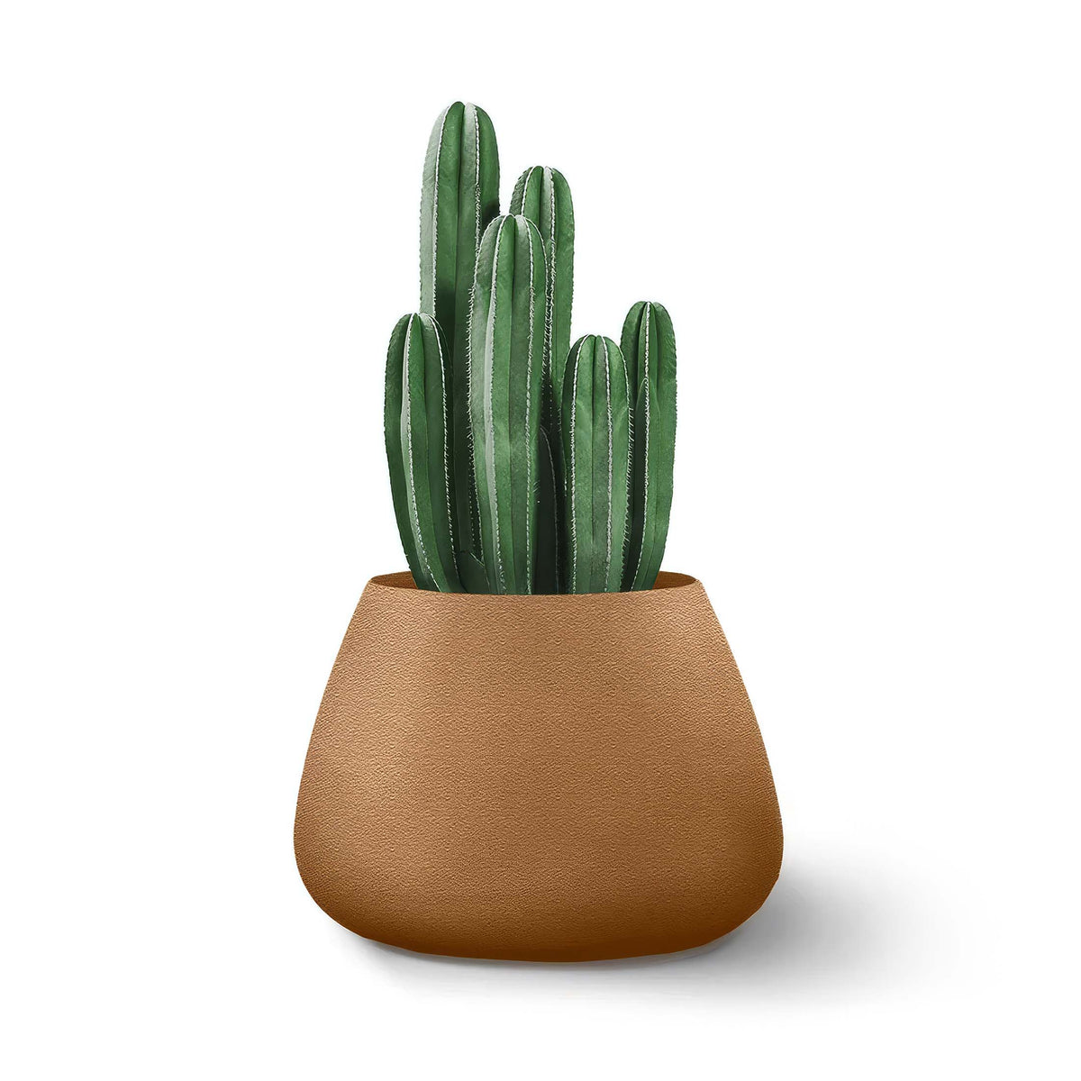 Indigenus Tuber by Haldane Martin. A columnar green succulent sits in a rounded tan ceramic pot against white.