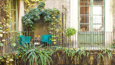 Desktop / Ami Dining Chair, designed by Francesco Rota for Paola Lenti