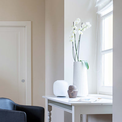 Cappellini Vase Trace Vase