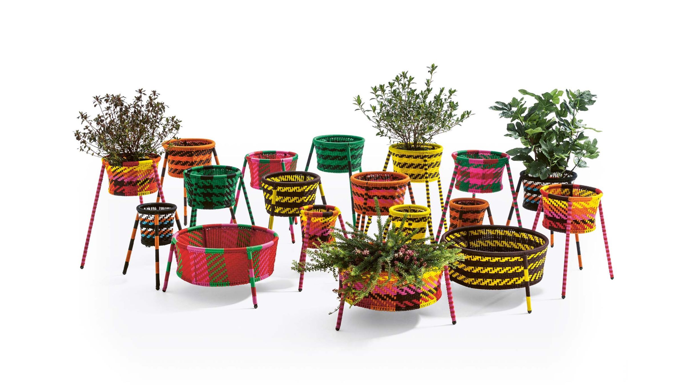 Concetta Giannangeli