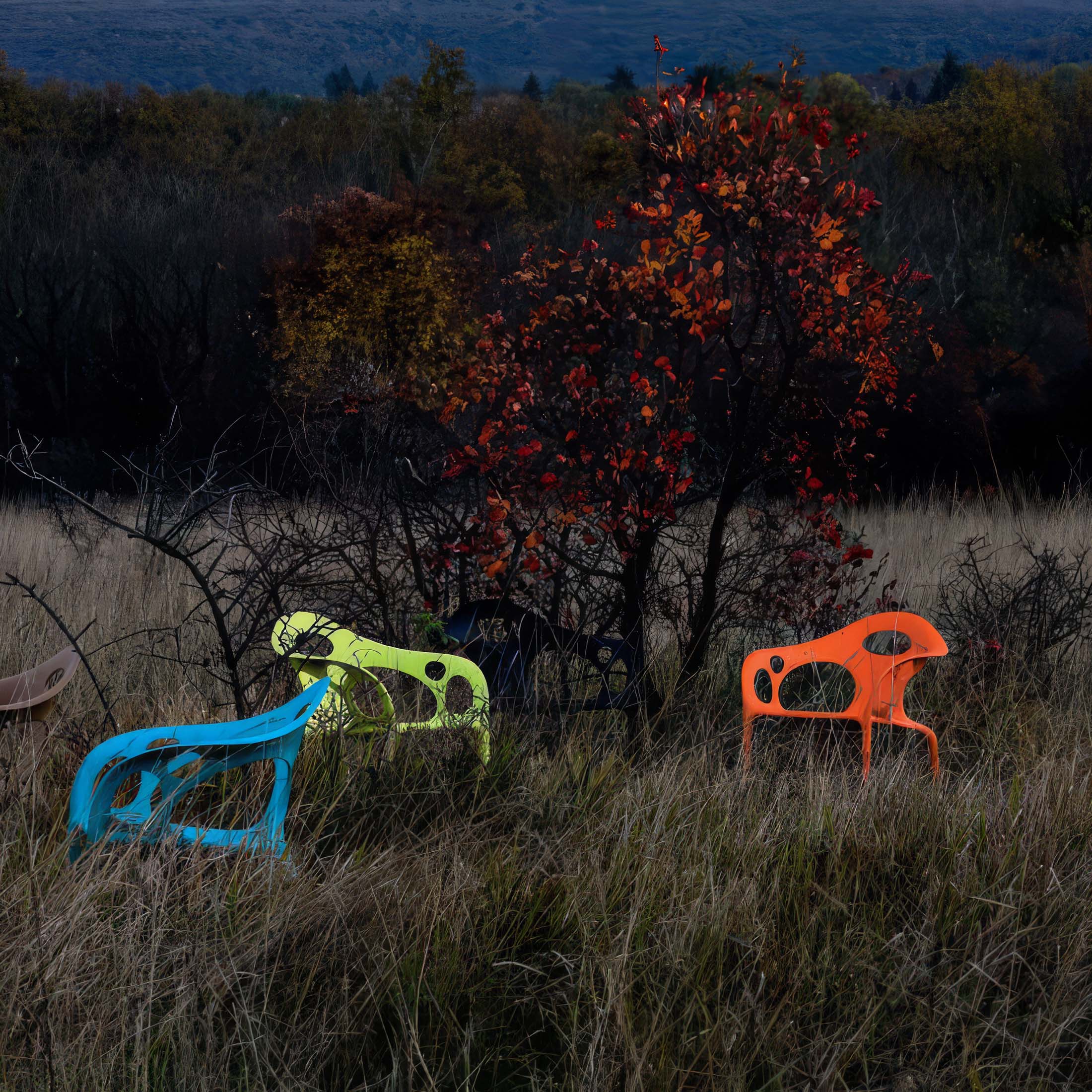 Supernatural Armchair by Moroso