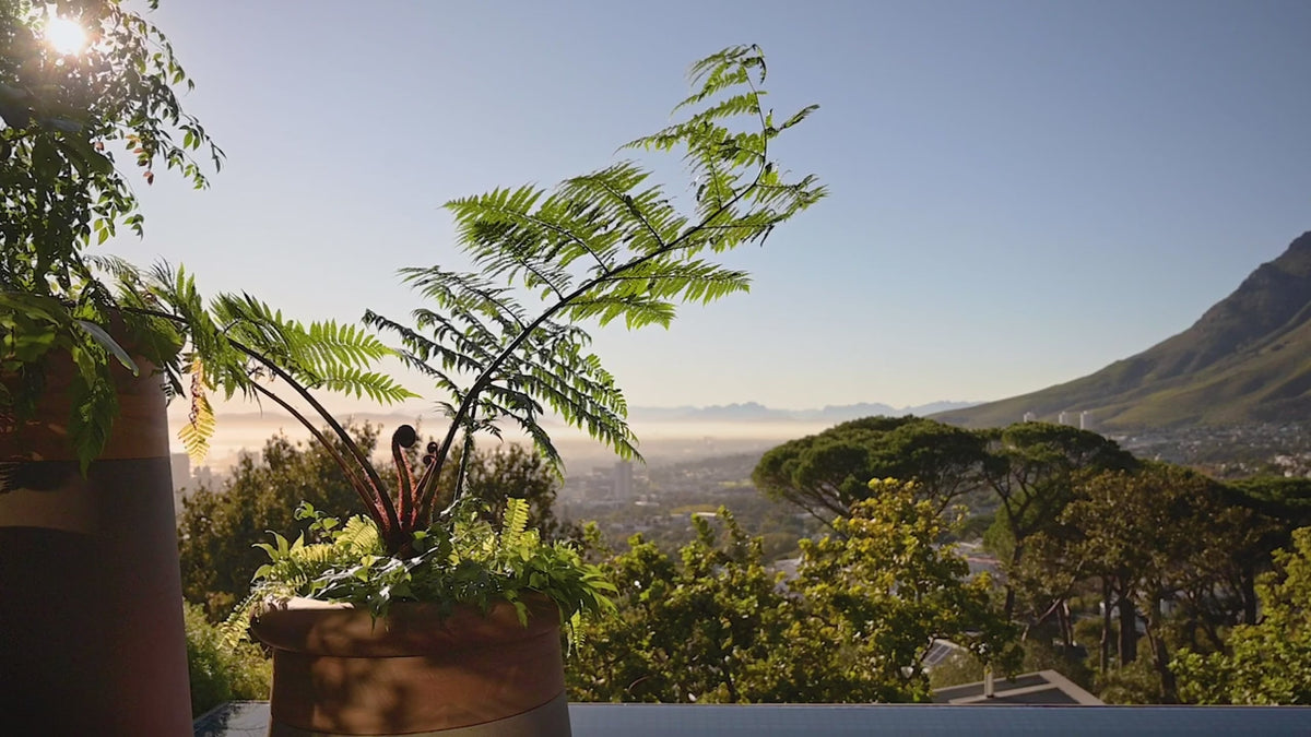 Carica il video: Indigenus