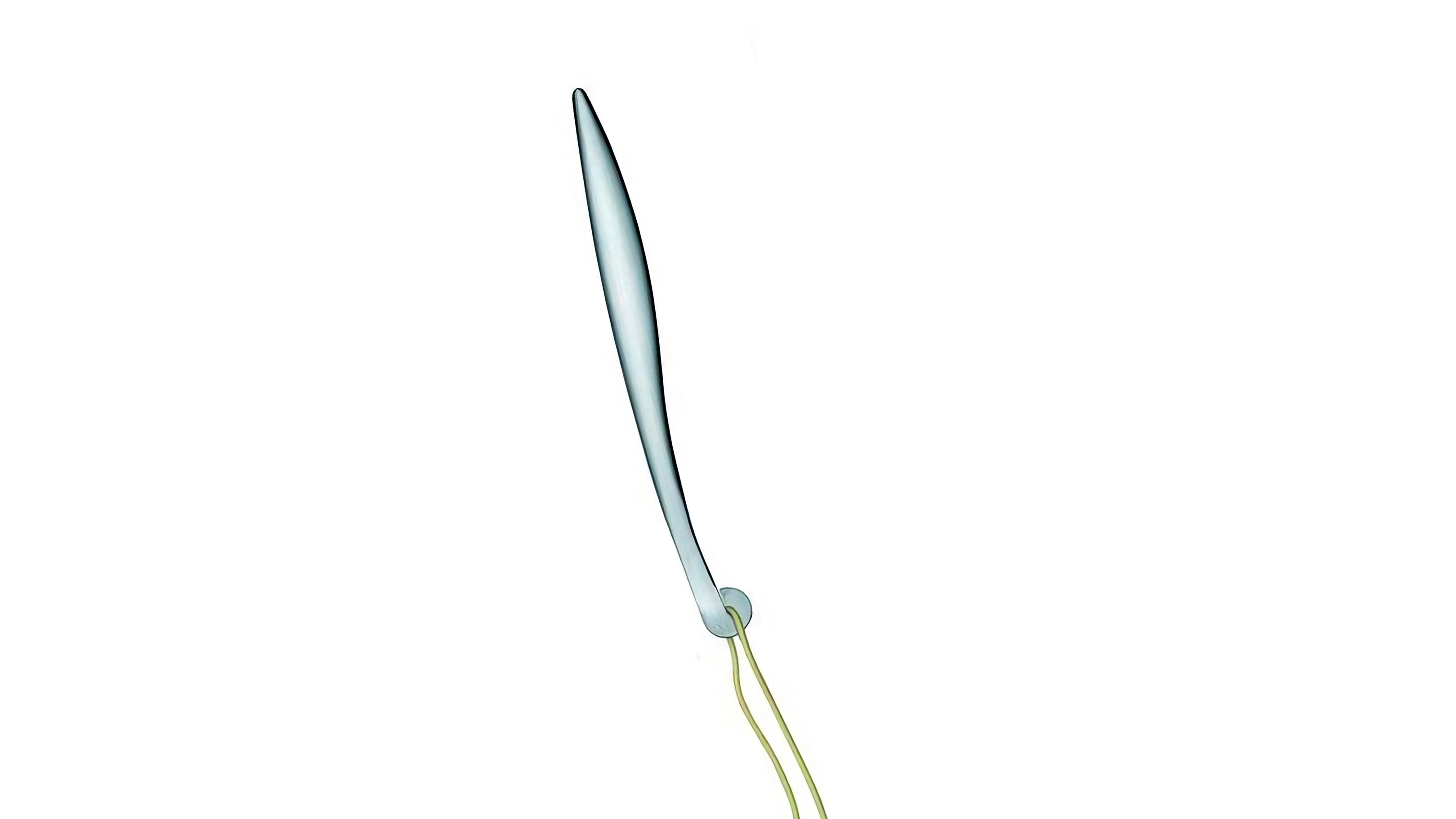 Desktop / BlackMenu / Al Dente Spaghetti Tester, designed by Tobias Huys