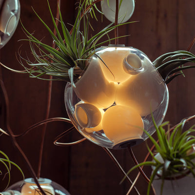 Bocci Pendant Lamp 38 Series