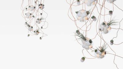 Desktop / BlackMenu / 38 Series designed by Omer Arbel