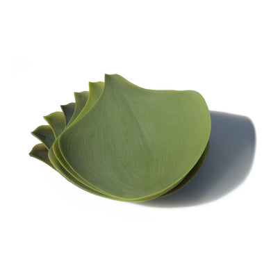 Set of 4 Small Trays  / Mobile / BlackMenu / Seasons Serving Trays - Set of 4