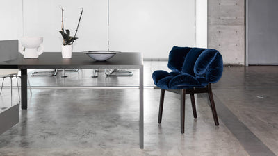 Desktop / BlackMenu / Blue Velvet Armchair, designed by Fernando & Humberto Campana