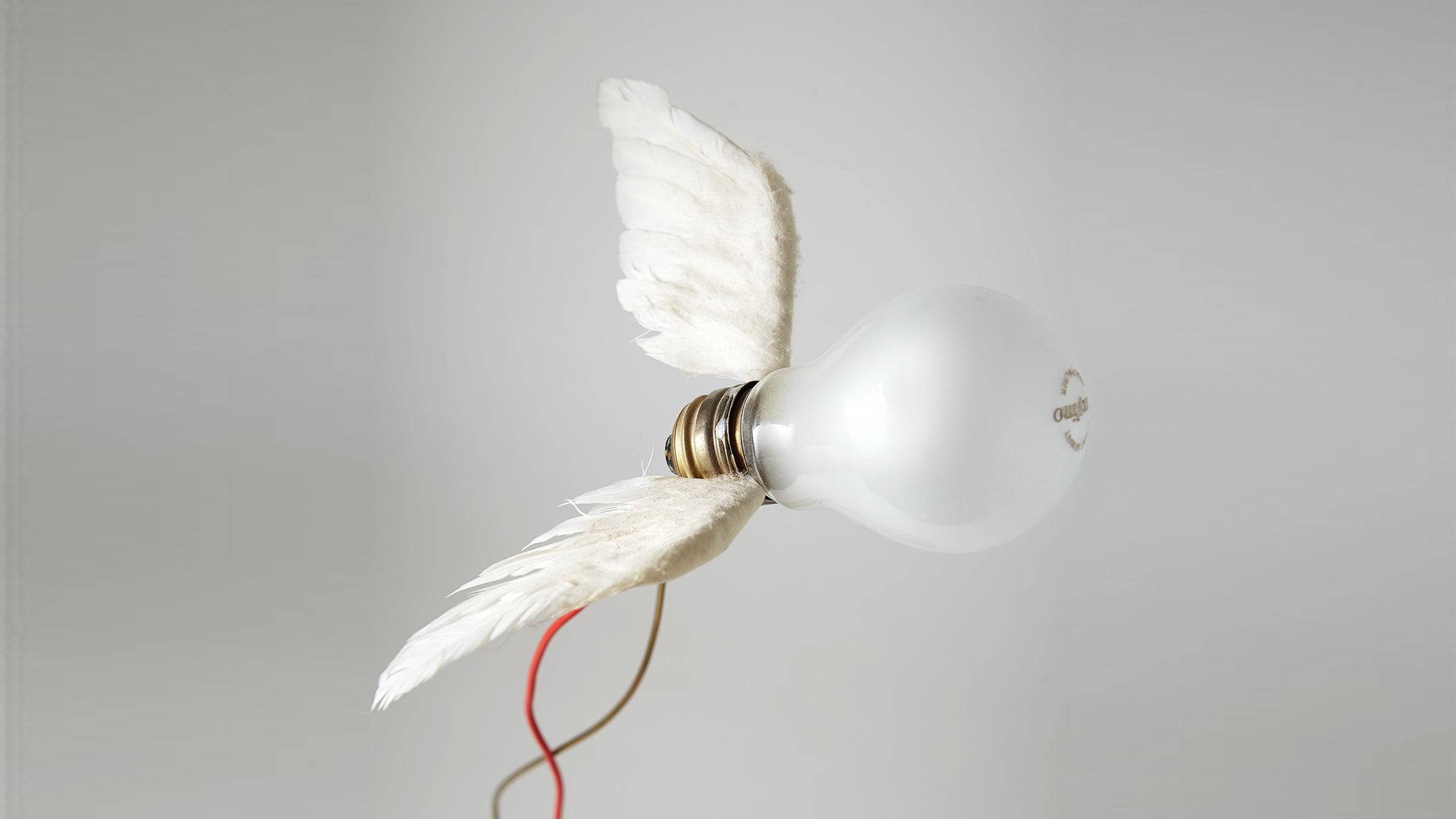 Desktop / WhiteMenu / Lucellino LED Table Lamp