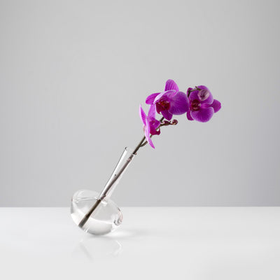 Small / Mobile / BlackMenu / Gauge Crystal Glass Vase, designed by Jim Rokos