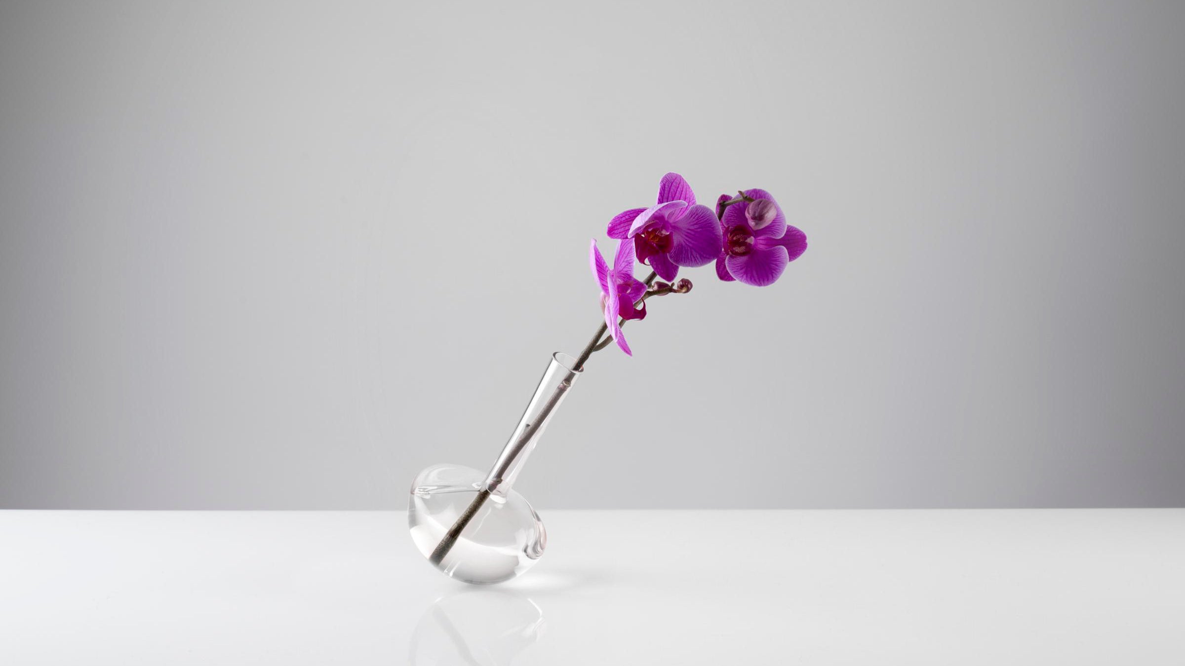 Small / Desktop / BlackMenu / Gauge Crystal Glass Vase, designed by Jim Rokos