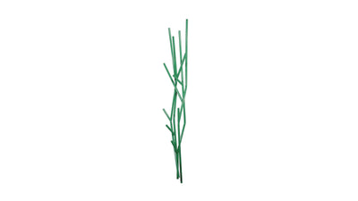 Green / Desktop / BlackMenu / Latva Wall Mounted Coat Rack Designed by Mikko Laakkonen