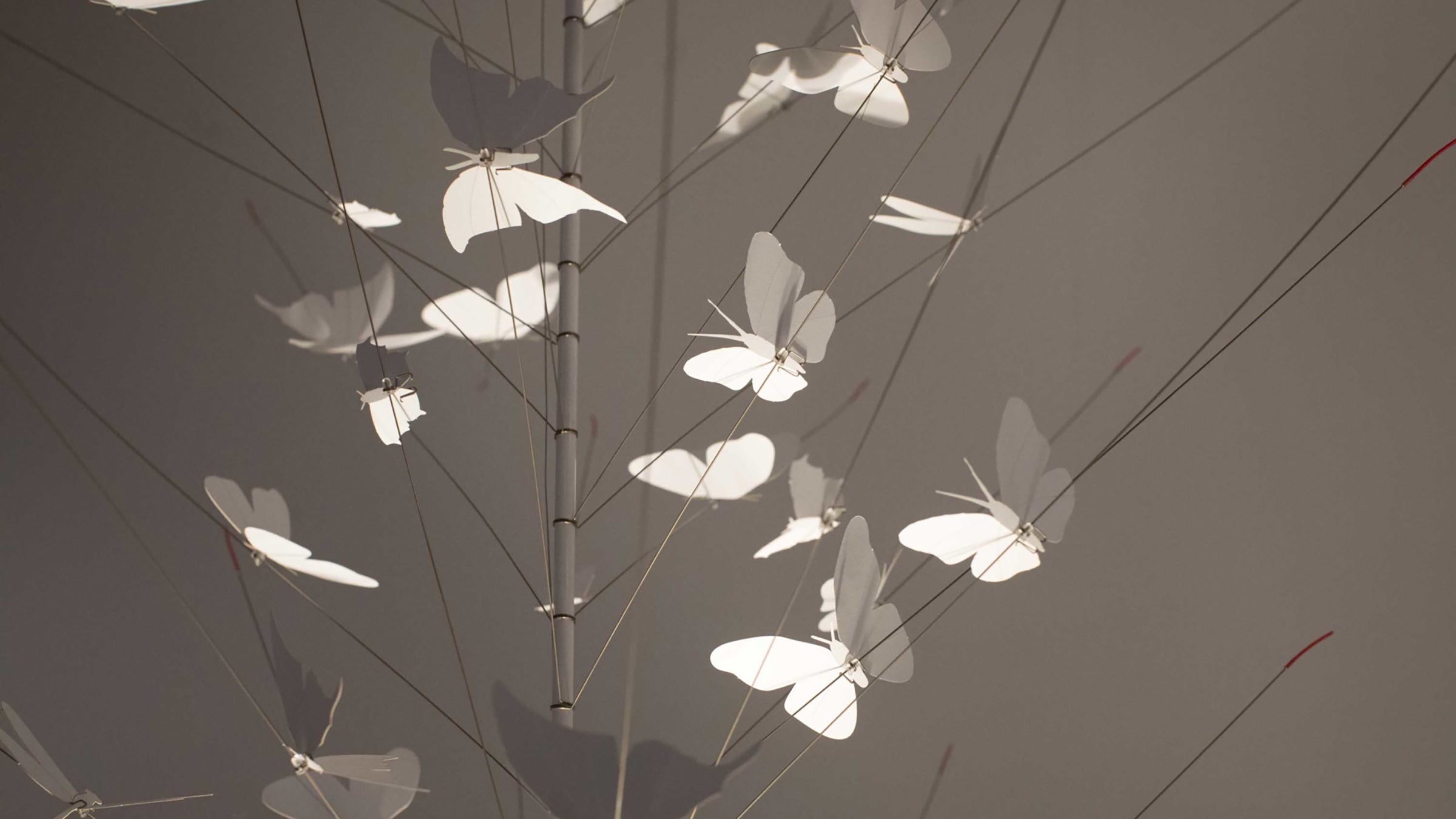 Desktop / BlackMenu / La Festa Delle Farfalle, designed by Ingo Maurer