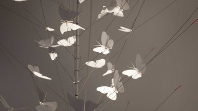 Desktop / BlackMenu / La Festa Delle Farfalle, designed by Ingo Maurer